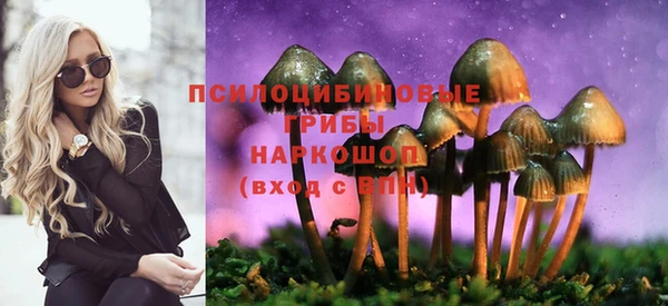 дживик Михайловка