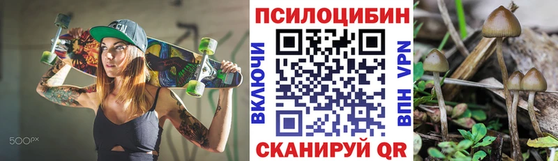 закладки мега ONION Псилоцибиновые грибы прущие грибы Приволжский